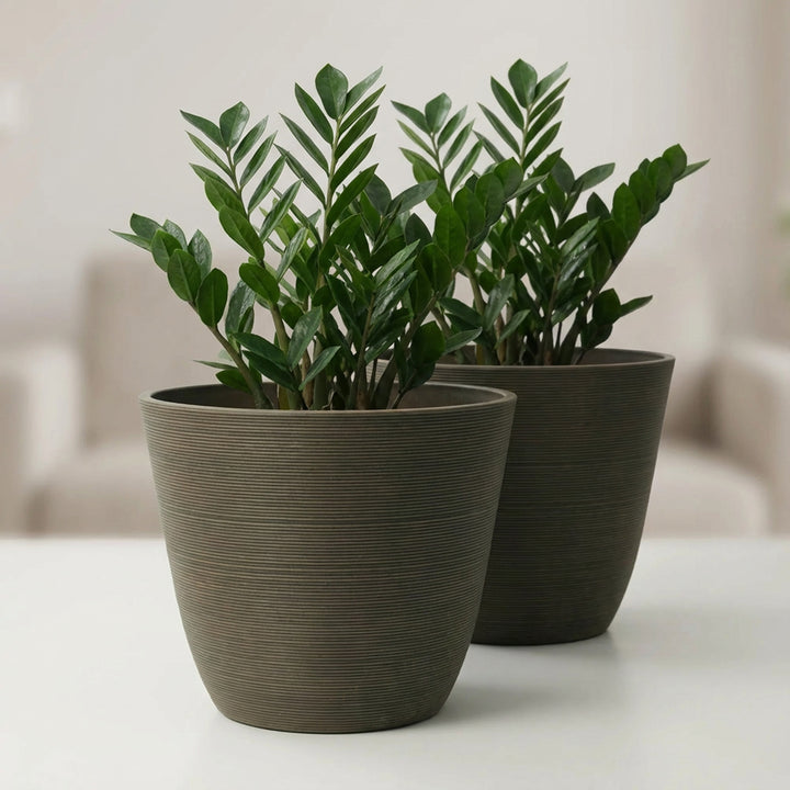 Valencia Ribbed Curve Planters, 2-Pack
